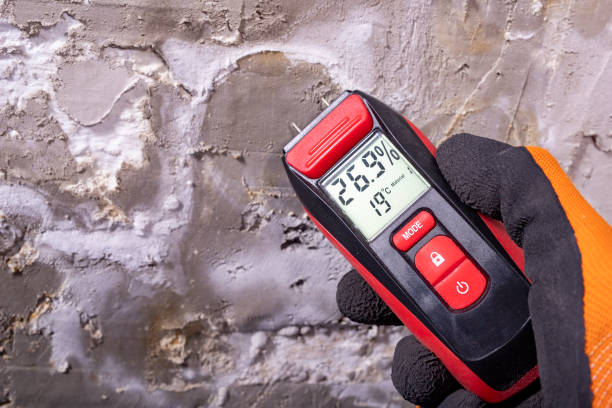 Best Mold Cleaning Services  in Staffd, OR