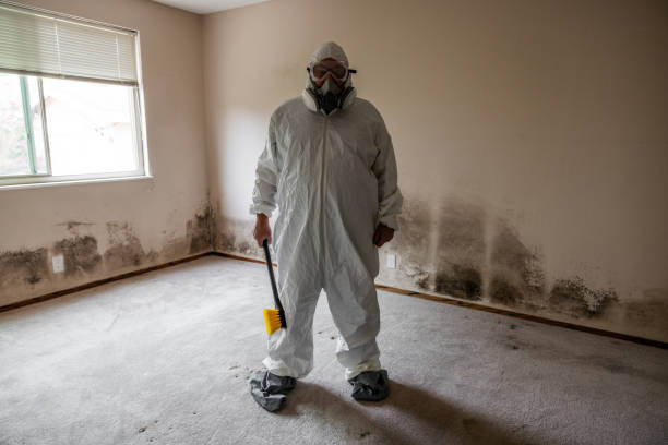 Best Office Mold Removal Services  in Staffd, OR